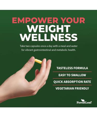 Ultra High Potency Berberine Supplement 1300mg with Ceylon Cinnamon Bitter Melon & Gymnema - Weight Management | 90 Veggie Caps - International Shipping Available - Buy Online on GoSupps.com