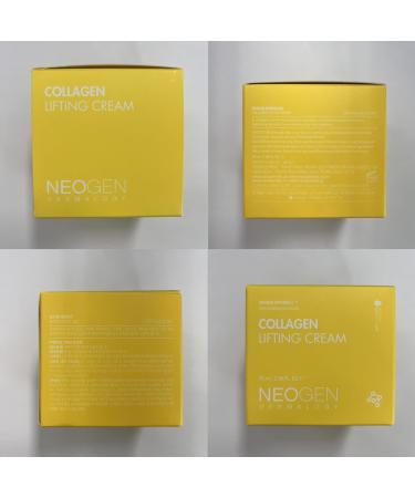 DERMALOGY by NEOGENLAB Collagen Moisturizing Cream - Best Facial Moisturizer for Plump & Firm Skin (1.69 Fl Oz / 50 ml) - International Shipping Available - Buy Online on GoSupps.com