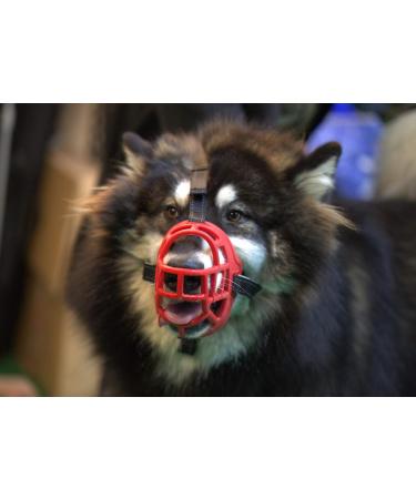 Barkless Muzzle for Dogs - Soft Silicone Basket Bite & Bark Control Allows Drinking & Panting Size 6 (Snout 13 -15 ) - Red - Buy Online on GoSupps.com