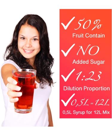 2 Pack - Light - Low Carb - Fitness Syrup by FruttaMax | Zero Sugar | with Stevia | 50% Fruit Content 500ml (2 x Lemon-Radler - Light) - Buy Online on GoSupps.com