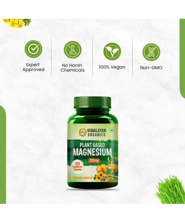 Himalayan Organics Plant Based Magnesium 220mg - 120 Veg Capsules | Natural & Vegan Formula - Buy Online on GoSupps.com