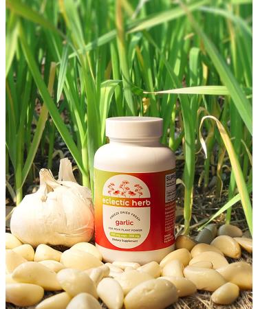 Eclectic Institute Raw Fresh Freeze-Dried Garlic 550mg - 120 Non-GMO Veg Capsules - Buy Online on GoSupps.com