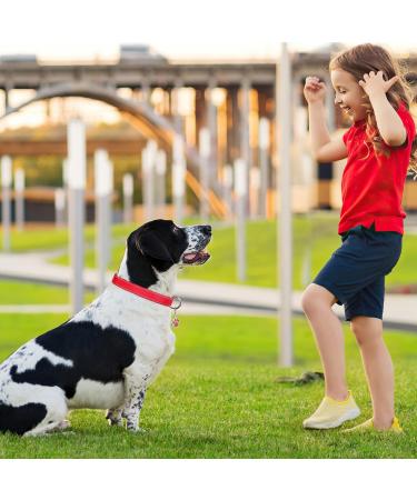 PCOTLLAR Adjustable Padded Reflective Dog Collar for Small & Large Dogs - Soft Neoprene Red (30-40cm) - Buy Online on GoSupps.com
