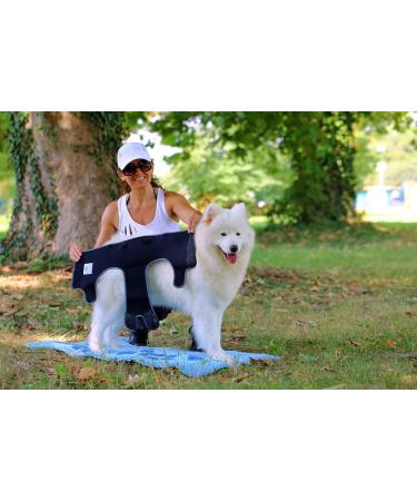 Procedure Pants for Bitches 2.0 - High-Quality Neoprene Dog Diapers for M-L Male Dogs | Optimal Air Exchange No Annoying Threading - Buy Online on GoSupps.com