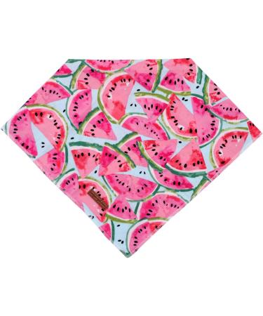 Buy Unique Style Paws Dog Collar - Washable Cotton Neck Triangle for Small Medium & Large Dogs & Cats (1-Pack) - Watermelon Design - Buy Online on GoSupps.com