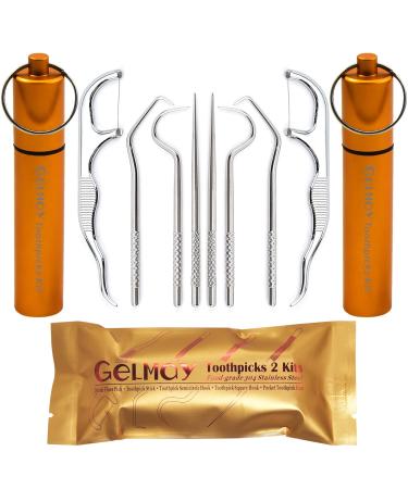 Toothpicks Pocket Set Dental Floss Picks Kit Reusable Stainless Steel Teeth Cleaning Tools Flossers for Adults Tooth Picker Oral Hygiene Travel (2 Set)