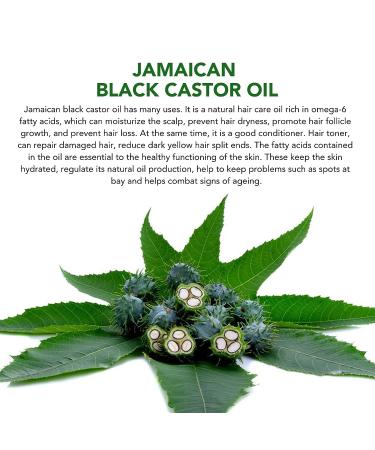 Organic Black Castor Oil for Hair & Eyelash Growth (2.02 fl oz) | Nourishing Treatment for Hair Loss, Thinning Hair, Skin & Nails - Buy Online on GoSupps.com