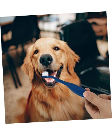 BESPORTBLE 3pcs Pet Double Toothbrush Finger Dog Toothbrush Cat Toothpaste Dog Teeth Cleaning Tools Pet Oral Pp 1 count (Pack of 1) Blue - Buy Online on GoSupps.com