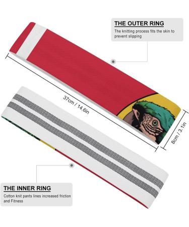 Shop Quality Resistance Bands - Red Parrots Printed Elastic & Fabric Exercise Bands for Fitness - International Shipping Available - Buy Online on GoSupps.com
