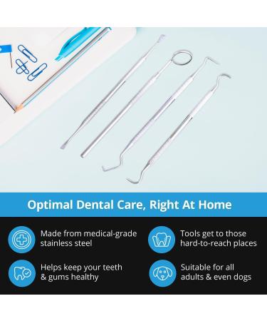 Dental Care Kit for Plaque Removal - 4 Piece Stainless Steel Set with Dentist Mirror, Tartar Scrapers, and Tooth Picks - Buy Online on GoSupps.com