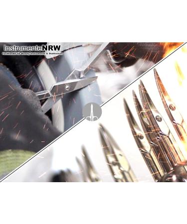 Long Angled Nail Scissors for Seniors | Micro-Tensioner Nail Cutter | Foot Care Set for Fingernails & Toenails (16 cm) - Buy Online on GoSupps.com