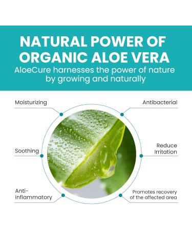 Toe Separators for Overlapping Toes - Aloe Vera Toe Spacers for Hammer Toe Bunion Relief & Big Toe Alignment | 12 Pack Clear (Large - Buy Online on GoSupps.com