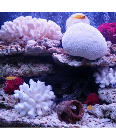 Buy Besimplle 2-Piece Artificial Coral Ornaments - Aquarium Resin Coral Decor & Underwater Sea Plants for Stunning Decor - Buy Online on GoSupps.com
