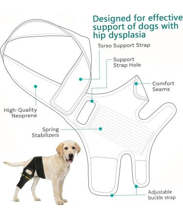 Dog Knee Brace for Rear Leg Torn ACL Self Adjustable ACL Knee Support Brace for Large and Small Dogs with ACL CCL Cruciate Ligament Injuries for Legs - Buy Online on GoSupps.com
