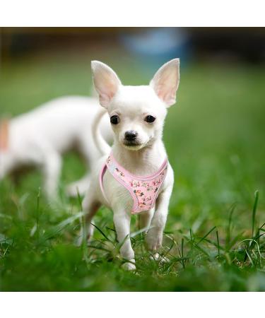 Buy Heele Anti-Pull Dog Harness for Small Dogs - Breathable Adjustable Reflective Soft & Safe - Flower Pink | International Shipping Available - Buy Online on GoSupps.com