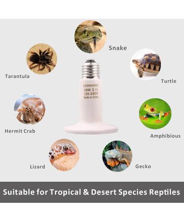 Dernord 50W E27 Heating Lamp - Ceramic Heat Emitter for Reptiles Turtles & Chicks | Outdoor Heating Spotlight - Buy Online on GoSupps.com
