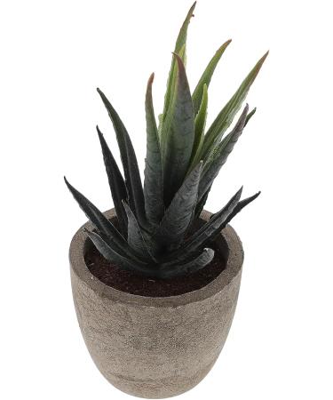 MAGICLULU 2pcs Faux Plant Simulation Plant Small Succulent Plants Home D cor Succulent Simulation Succulents Arrangements Suculentas Artificial Plants Decorative Plants Mini Cactus - Buy Online on GoSupps.com