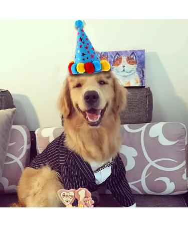 Dog Birthday Sparty Bandana Hats Set - 1st Birthday Decorations with Banner & Paw Printing Balloon - Perfect for Young Dogs! - Buy Online on GoSupps.com