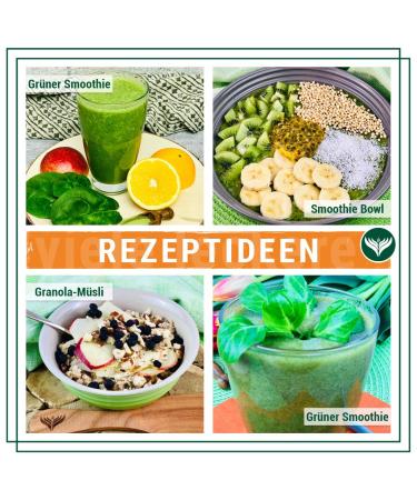 Buy Azafran Organic Barley Grass Powder - Natural Cultivation from DE/AT | 500g Superfood for Health - Buy Online on GoSupps.com