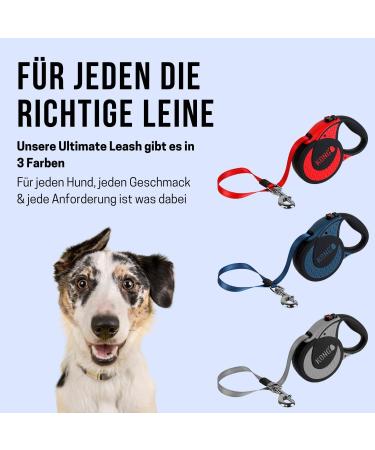 High-Quality 5m Cong Roll-Out Dog Leash for Large & Strong Dogs (Up to 70kg) - XL Reflective Design with Soft Handle & Break Lock System - Gray - Buy Online on GoSupps.com