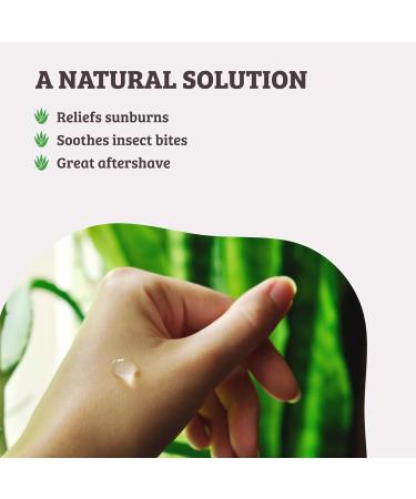 GONATURALS Pure Aloe Vera Gel For Face 250ml - Organic Aloe Vera Gel Rich in Vitamins A C E - Hydrating Aloe Vera Moisturiser - 100% Pure Aloe Vera Gel for Hair and Skin Care - Buy Online on GoSupps.com