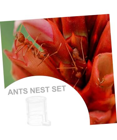 POPETPOP 2pcs Pet Water Feeder Pet Stuff Pet Water Bowl Ant Villa Ants Drinking Tool Small Water Cup - Buy Online on GoSupps.com