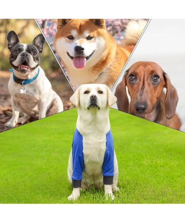 Dog Front Elbow Support | 1 Pair Dog Joint Protective Cover - Stain-Resistant Pet Recovery Knee Pad for Medium Dog Breathable Wear-Resistant Blue XL - Buy Online on GoSupps.com