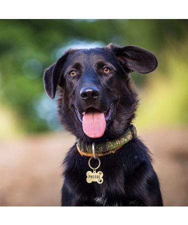 Custom Engraved Stainless Steel Pet ID Tag - Personalized Bone & Paw Shaped Dog Name, Address, and Phone - Gold Small - Buy Online on GoSupps.com