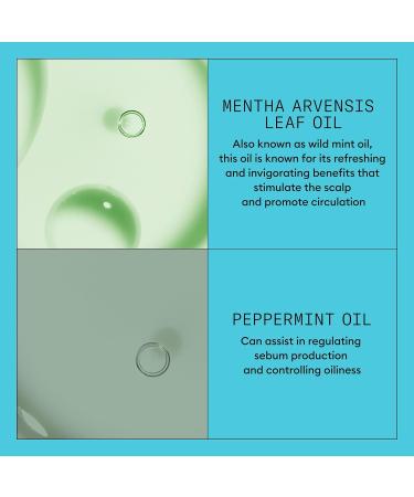 Nioxin System 3 Conditioner for Colored & Damaged Hair | Niacinamide & Biotin | 16.9 Fl Oz | Best for Light Thinning | Ships Internationally - Buy Online on GoSupps.com