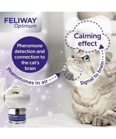 FELIWAY Optimum diffuser & 30 day refill the best solution to ease cat anxiety cat conflict and stress in the home 48 ml (Pack of 1) - Buy Online on GoSupps.com
