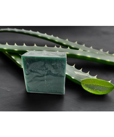 Premium Oatmeal & Goat Milk Soap Bar - Luxurious Handmade Natural Soap (Aloe Vera) for Radiant Skin | International Shipping Available - Buy Online on GoSupps.com