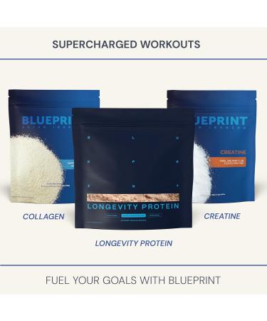 Blueprint Bryan Johnson Chocolate Protein Powder Vegan Plant-Based Supplement with Cocoa Powder Clean Ingredients 26g Protein per Serving Non-GMO 30 Servings - Buy Online on GoSupps.com