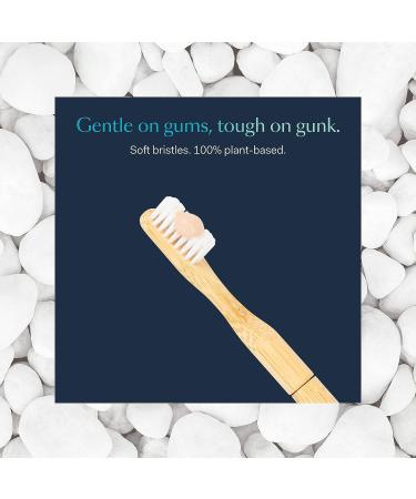 Better & Better Natural Bamboo Toothbrush - Soft Bristles - Eco-Friendly - Reusable Handle - Replaceable Head - Adult Size - White - Buy Online on GoSupps.com