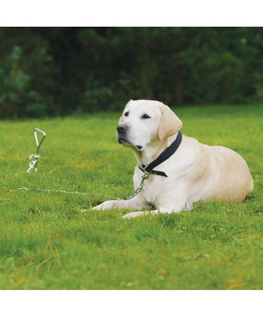 Dog Stake Metal Pet Stake Spiral Tie-Out Pet Supply Tether Dog Leash Anchor Stakes with Spiral Shape Suitable for Outdoor Yard and Camping Small Medium and Large Pets Stake-Out Spike Dog tie out - Buy Online on GoSupps.com