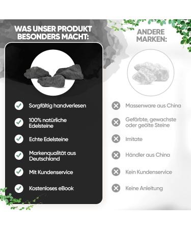 Puraja Schungit Gemstone Set | Natural Premium Raw Stones for Water Healing & Chakra | 1000g Pure Crystal Collection - Buy Online on GoSupps.com