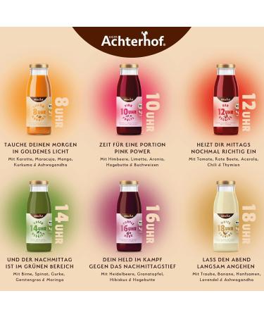 Safe Time 1-Day Fasting Cure Bio | 6 Bottles of Fruity-Sweet Fruit & Vegetable Juices with Herbal Extracts | Achterhof Saftzeit | International Shipping Available - Buy Online on GoSupps.com