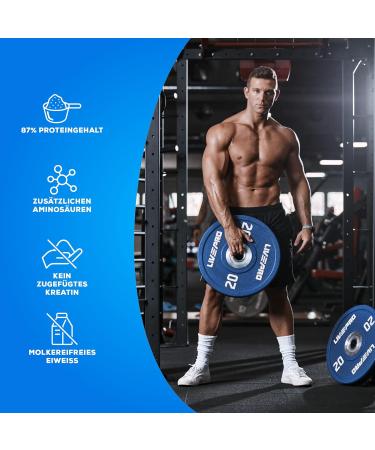 Buy BiotechUSA Beef Protein 500g - 87% Hydrolyzed Peptide Lactose & Gluten-Free Low-Fat Sugar-Free Paleo Friendly - Chocolate Coconut Flavor - Buy Online on GoSupps.com