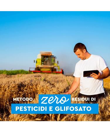  Italian Gourmet E.R. 10x Il Grano Di Armando La mezza manica Italian Wheat Bronze Design 100% Italian Pasta 500g - Buy Online on GoSupps.com