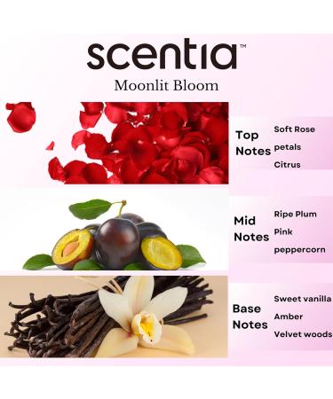 Love Collection Fragrance Oil Set Essential Oil Blends for Diffusers Candles & Soaps Jasmine Rose Citrus Amber & Musk Made in USA Phthalate-Free Holiday Gift Set 3 20 ml (2.03 fl oz) 8. Love Collection 3x20ml  - Buy Online on GoSupps.com