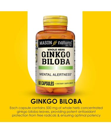MASON NATURAL Ginkgo Biloba 3 Month Supply Helps to Improve Mental Alertness & Support Optimal Brain Function 60 Capsules (3 Pack) Unflavored 60 Count (Pack of 3) - Buy Online on GoSupps.com