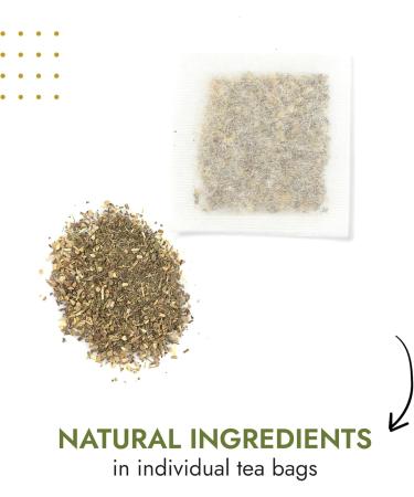  Alpi Nature Alpi Nature Dandelion Roots and Leaves Herbal Tea 120 Tea Bags 180 g Pack of 6 x 20 Sachets of 1.5 g - Buy Online on GoSupps.com