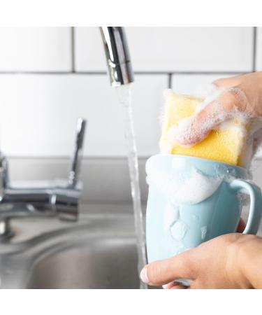 Eco Washing up Liquid Bundle: Ecover Pomegranate & Fig 450ml (x2) + Biodegradable Sponge Cloths (x2) + JenBurr Leaflet - Buy Online on GoSupps.com