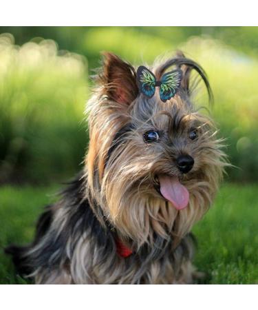 Balacoo 20pcs Cute Dog Hair Bows - Elastic Butterfly Design Topknot Grooming Decor for Pets | Dog Hair Accessories - Buy Online on GoSupps.com