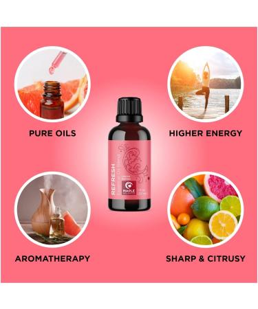 Maple Holistics Essential Oils Set - Day and Night Essential Oil Blends for Diffuser with Protect Refresh and Breathe Essential Oil Blends for Diffusers Aromatherapy and Travel - Buy Online on GoSupps.com