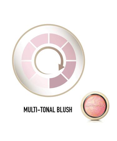 Max Factor Compact Blush 5 Lovely Pink - Multitonal Powder Rouge for Perfect Glow | Red-Pink 1 x 2g (1 Pack) - International Shipping Available - Buy Online on GoSupps.com