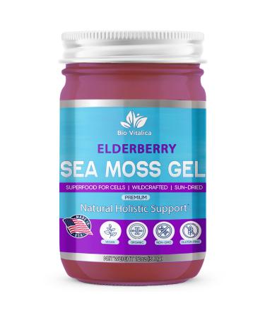 Sea Moss Gel by BioVItalica - Irish sea Moss raw Organic - Premium Quality - Dr Sebi, Vegan superfood for Cells - 100% Natural seamoss Gel (Elderberry, 1 Pack) Elderberry 12 Fl Oz (Pack of 1) - Buy Online on GoSupps.com