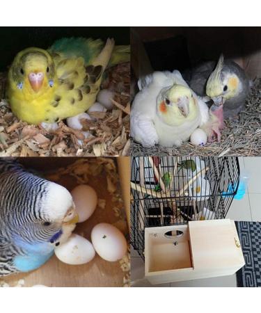 YJJKJ Pet Wood Bird Breeding Nesting Aviary Cage Box for Parakeets, Budgies, and Cockatiels - Buy Online on GoSupps.com