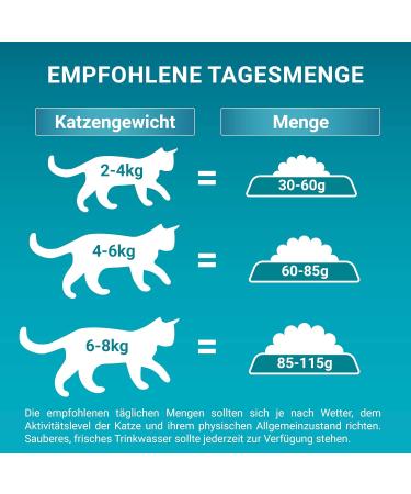 PURINA ONE BIFENSIS Adult Dry Cat Food - Rich in Chicken (5.7kg) | International Shipping Available - Buy Online on GoSupps.com