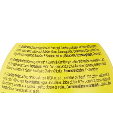 Buy Weider L-Carnitine Water - Pineapple-Mango Flavor (12 Pack) | Boost Energy & Support Fat Loss - International Shipping Available - Buy Online on GoSupps.com