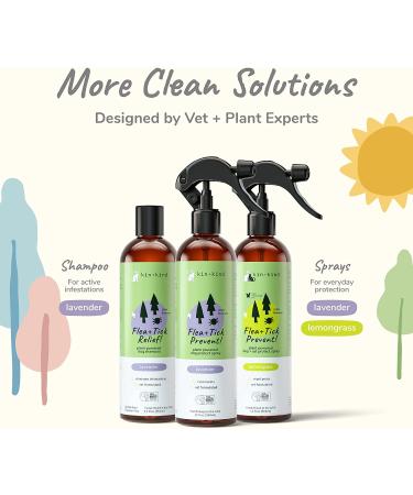 Kin+Kind Flea & Tick Relief Shampoo for Dogs & Cats - Lavender, 12 fl oz - Buy Online on GoSupps.com